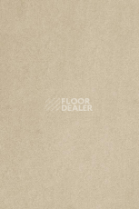 Ковролин AW Masquerade Kai 33 фото 1 | FLOORDEALER